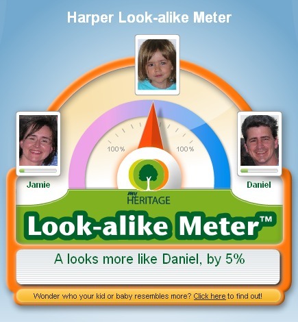 Harper Look-alike Meter