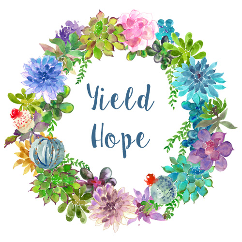 My word of 2016: yield hope